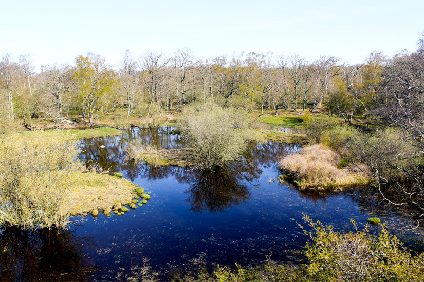 Naturreservat-Ottenby