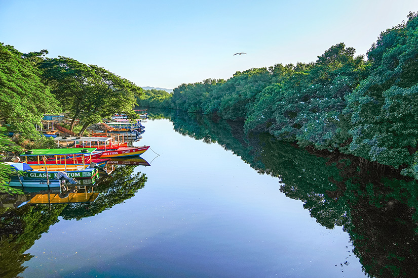 Negril River