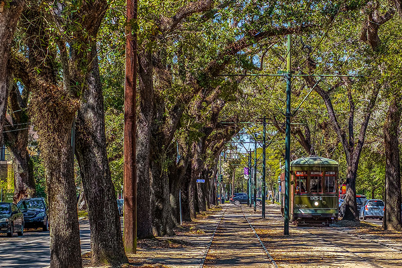 New Orleans Streetcar