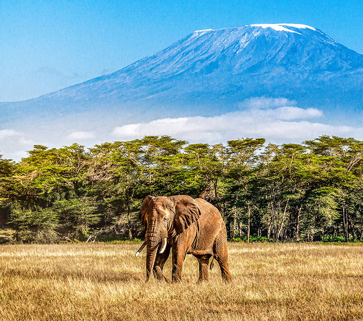 Tansania - Kilimandscharo, Sansibar & Safari in Afrika