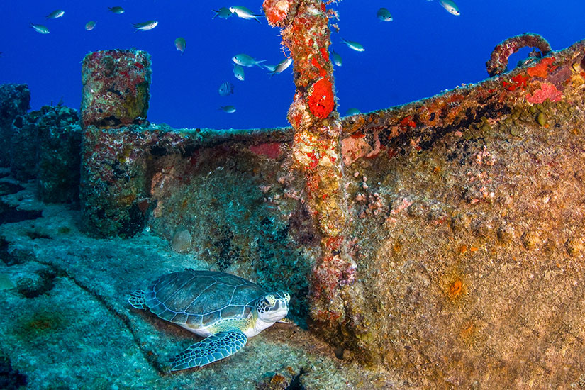 Anguilla Schiffswrack