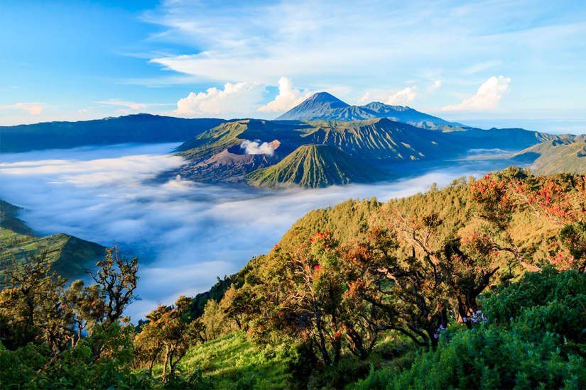 Mount Bromo