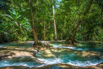 Dschungel: 10 Ziele Für Urlaub Im Tropischen Regenwald