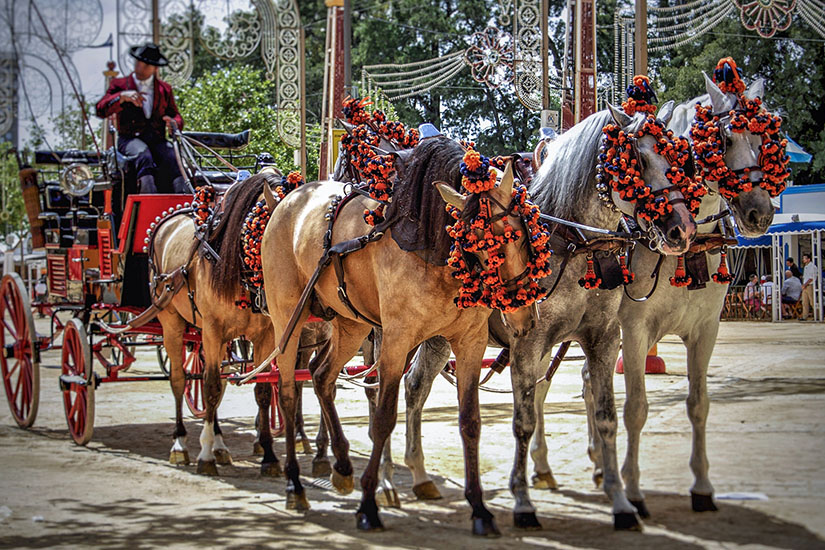 Feria del Caballo