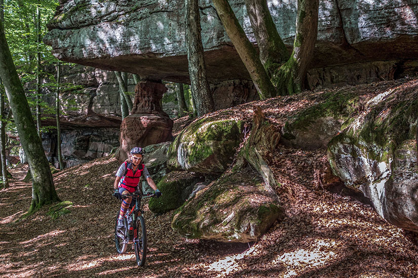 Radfahren im Pfaelzerwald