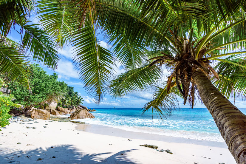 La Digue Anse Patates