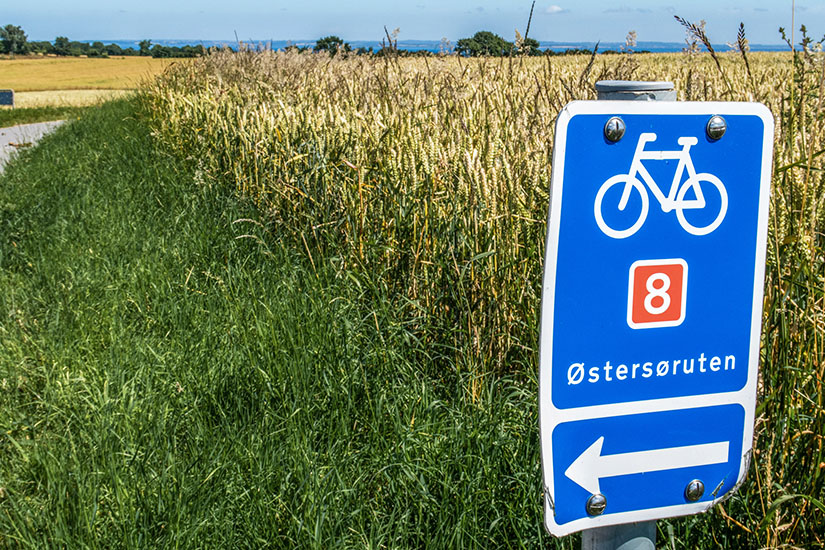 Ostseeradweg in Juetland