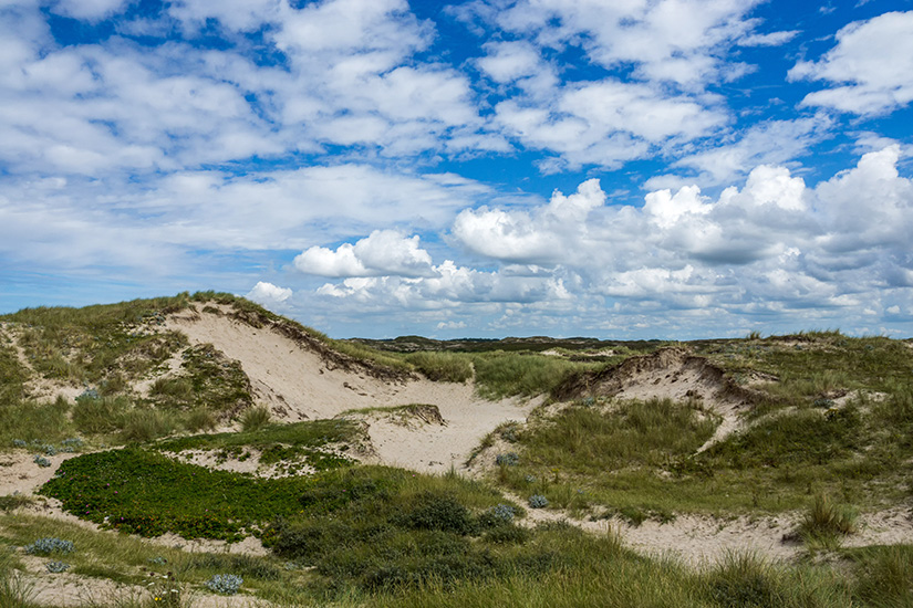 Noord Hollandse Duinreservaat