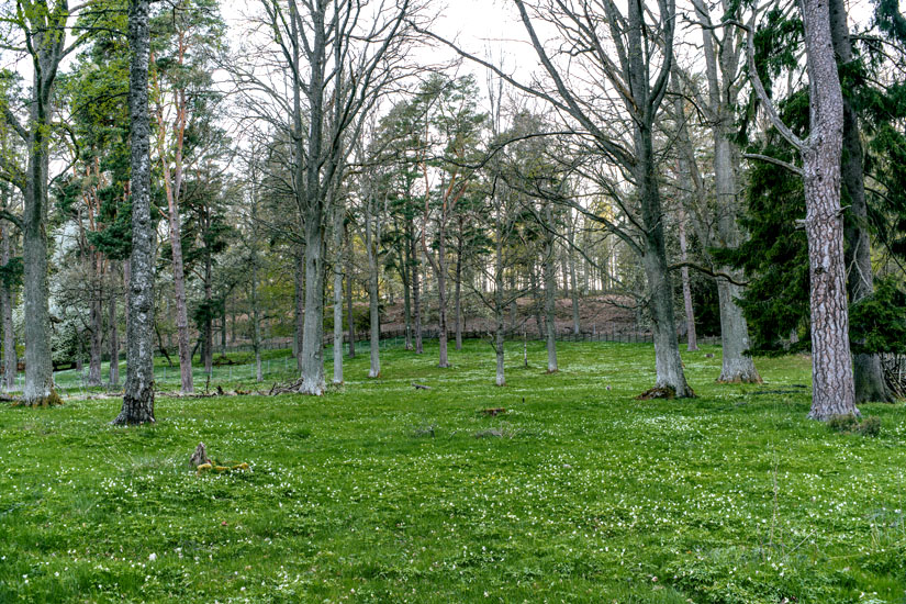 Stadtpark in Joenkoeping