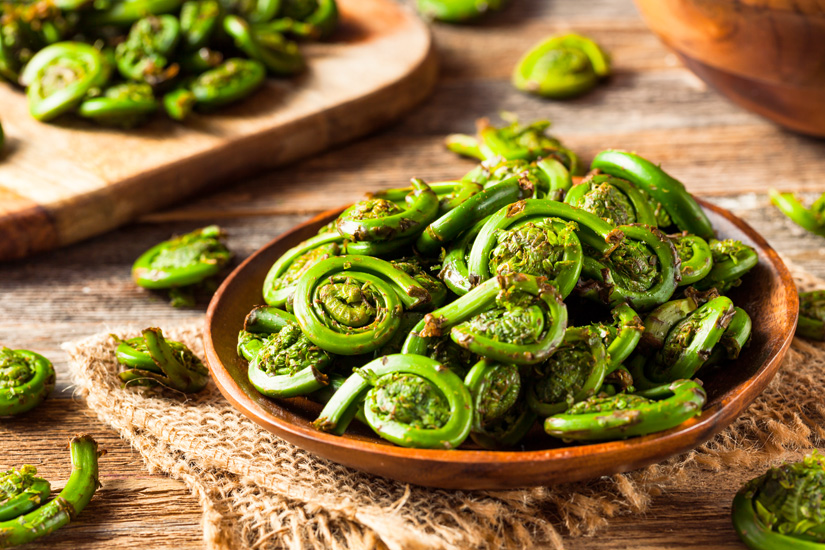 Fiddleheads