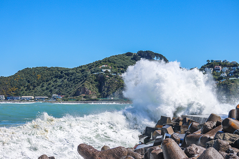 Wellington Neuseeland Lyall Bay