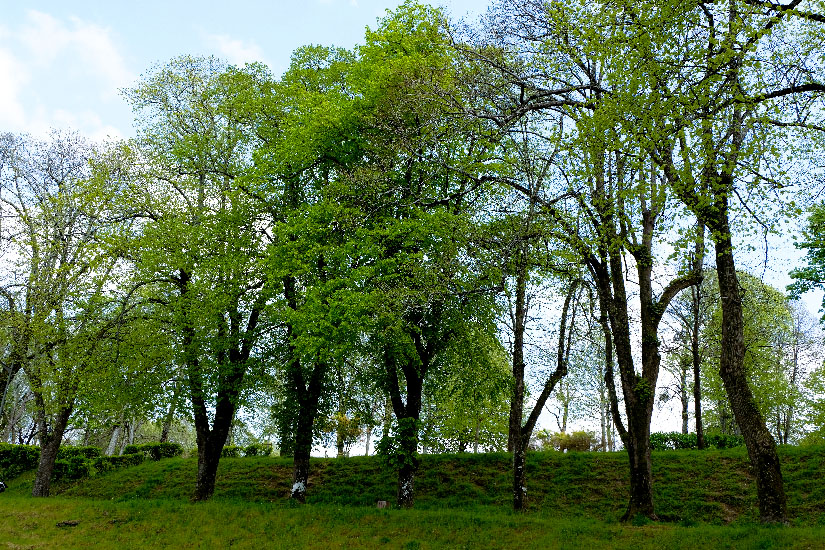 Vannes Parc Garenne