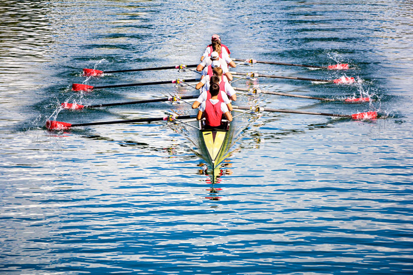 London Aktivitaeten Ruder Regatta