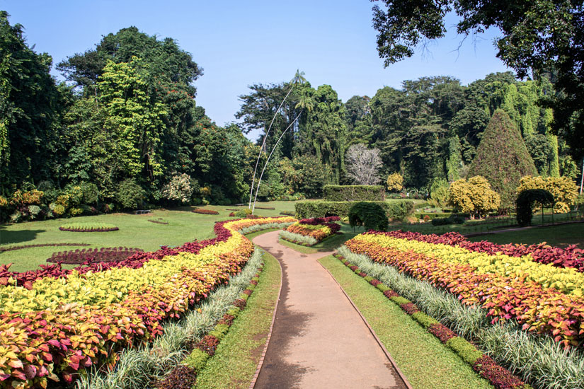 Kandy Botanical Garden