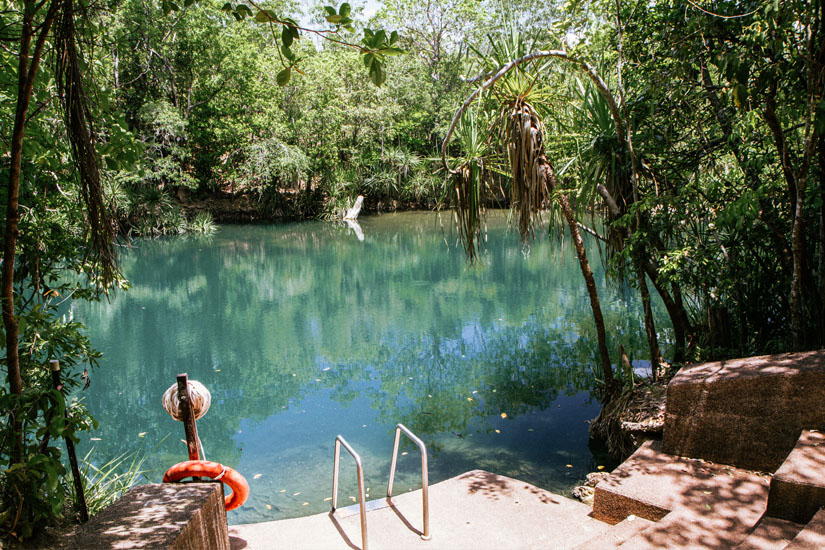 Darwin Berry Springs