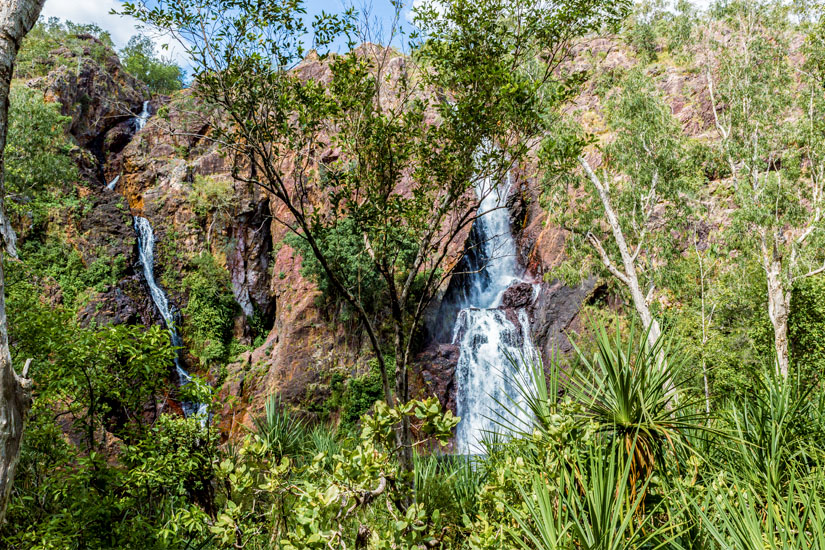 Darwin Litchfield Nationalpark