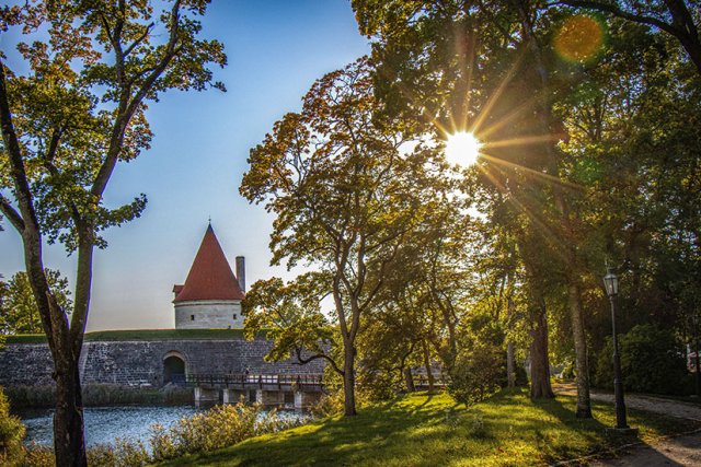 Saaremaa: Strände, Natur & Windmühlen Auf Estlands Insel