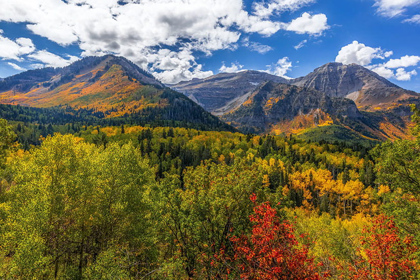 Mount Timpanogos Rocky Mountains