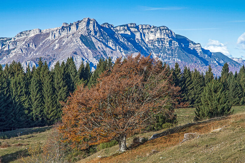 Trient Becco di Filadonna