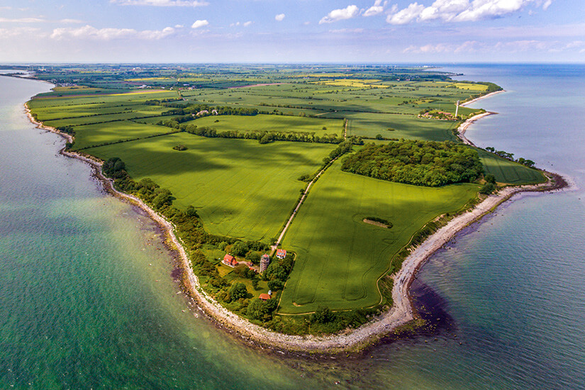 Wale Ostsee Fehmarn