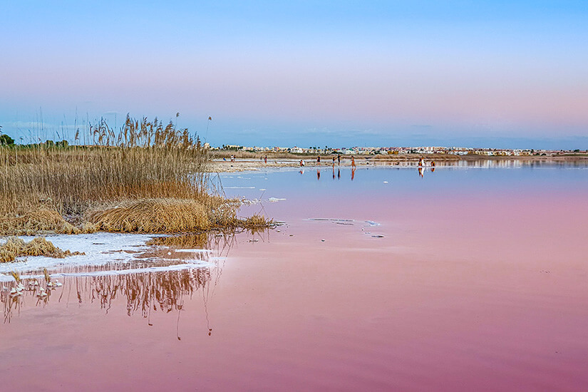 Lago Rosa de Torrevieja
