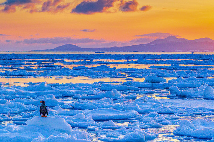 Hokkaido Shiretoko