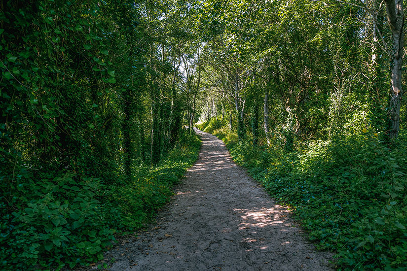 De-Panne-Wandern