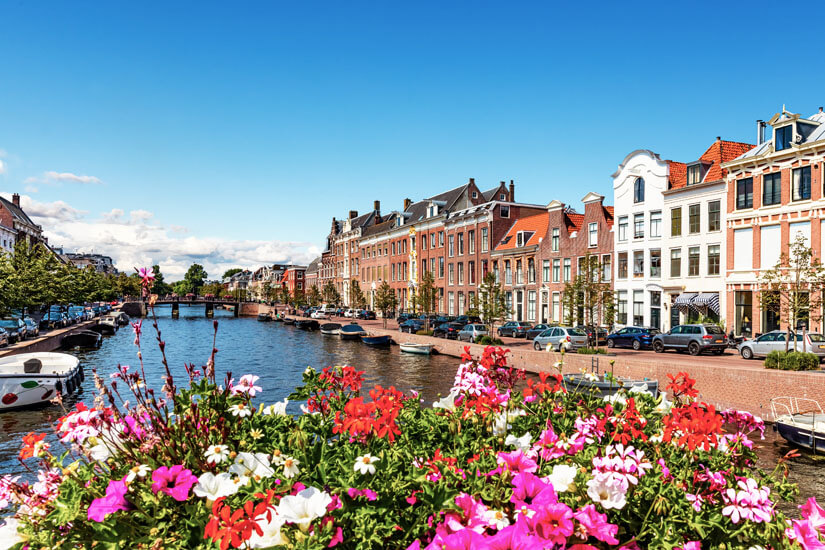 Haarlem Ausblick