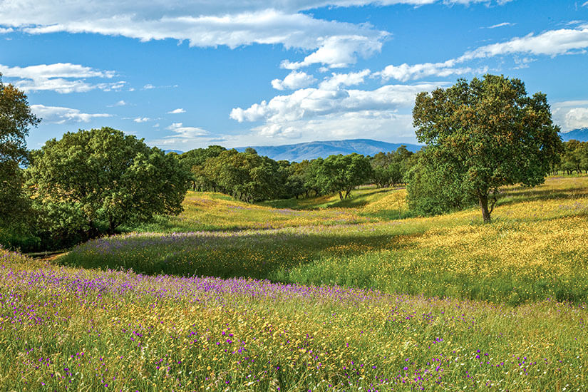 Extremadura Landschaft