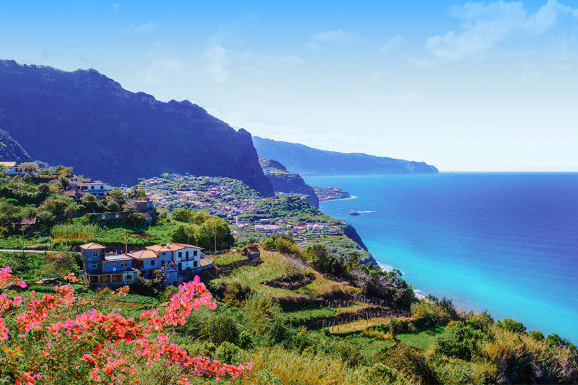 Madeira Kueste Blumen