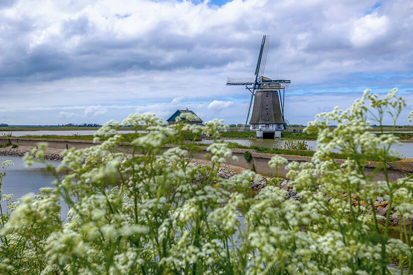 Texel Oosterend