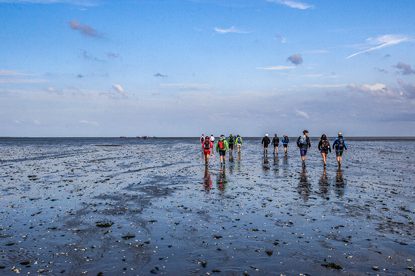 Nordsee Wattwanderung