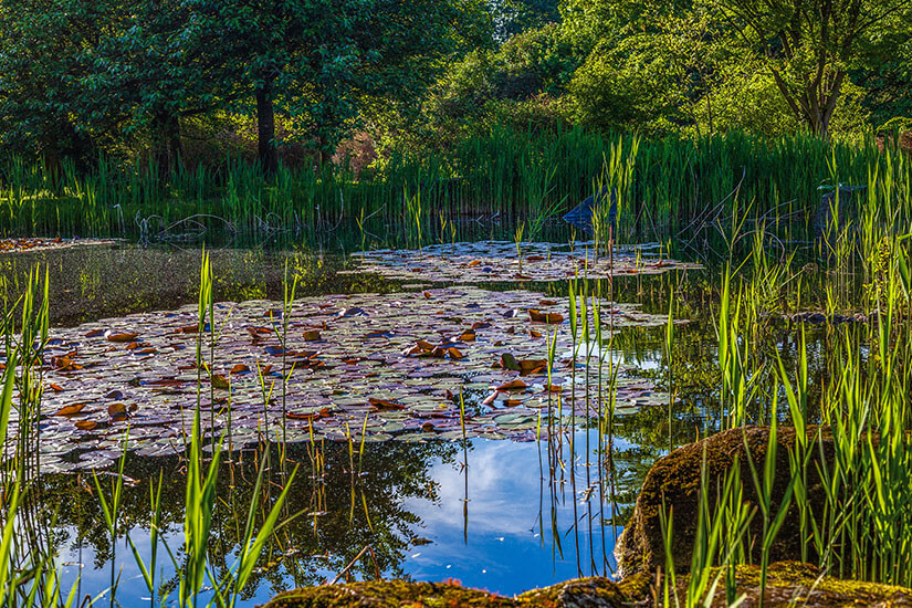 Lodz Botanischer Garten