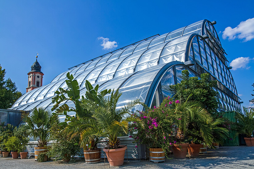 Insel Mainau Palmenhaus