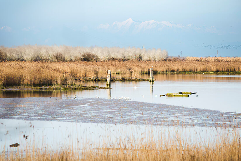 Laguna di Caorle