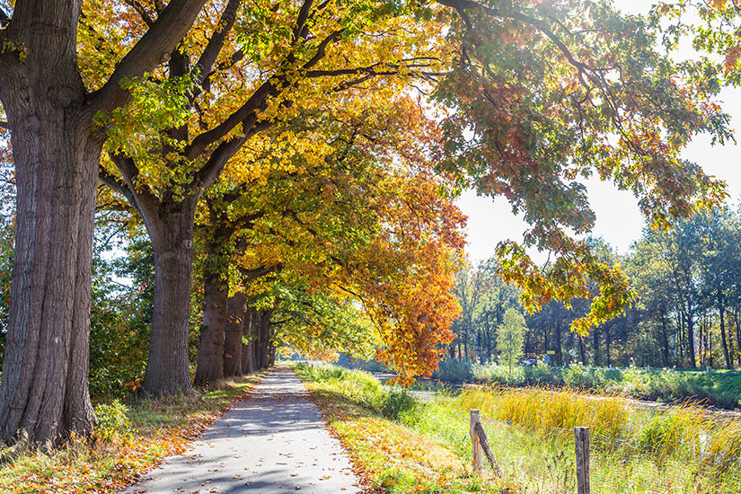 Apeldoorn Park