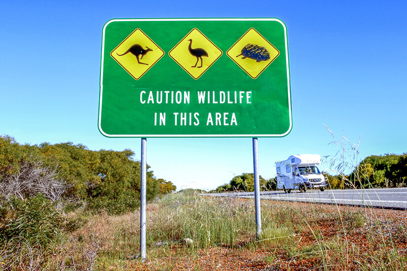 Westaustralien Wohnwagen