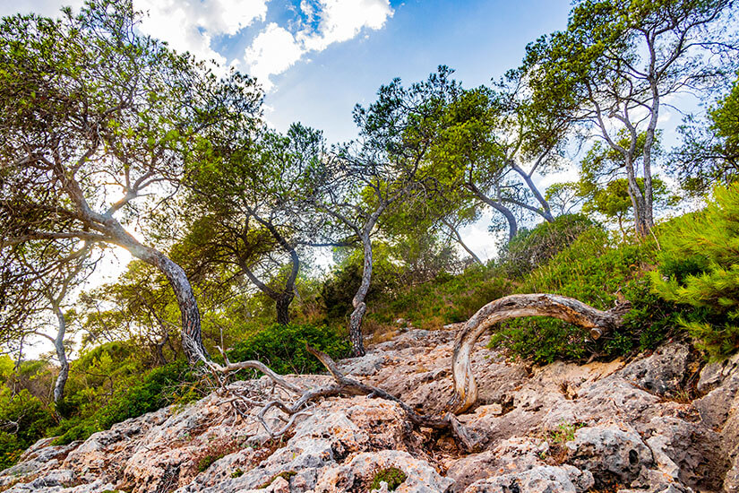 Parc Natural de Mondrago