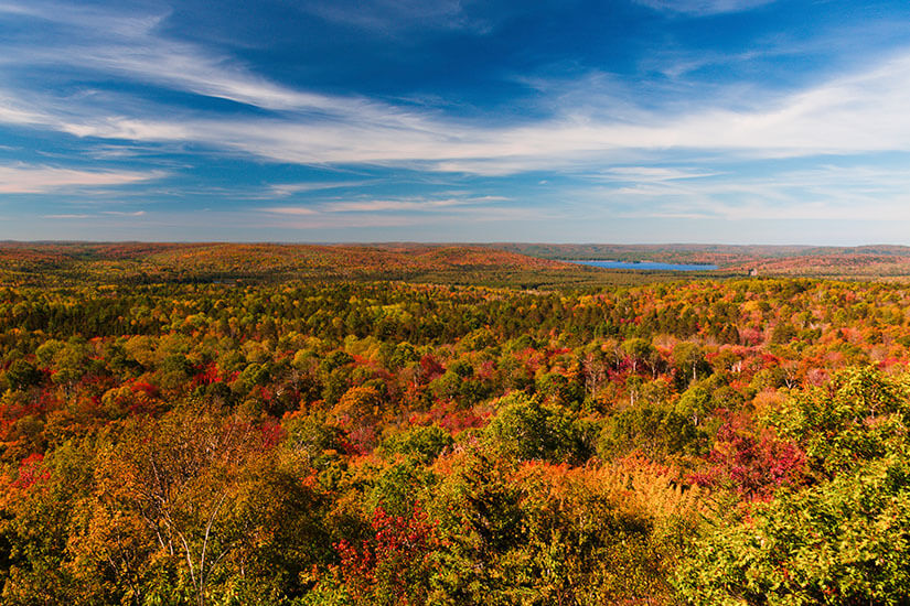 Ontario Algonquin Provincial Park