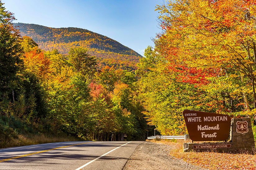 New Hampshire White Mountains National Forest