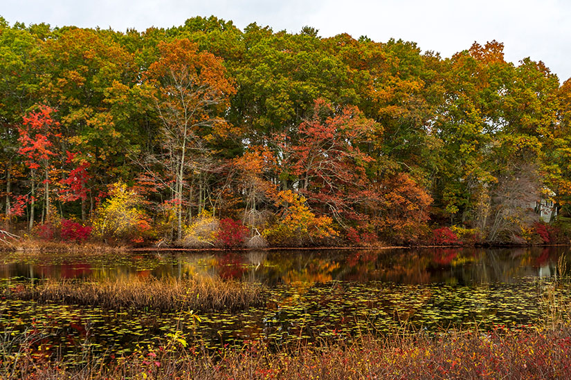 Rhode Island Herbst