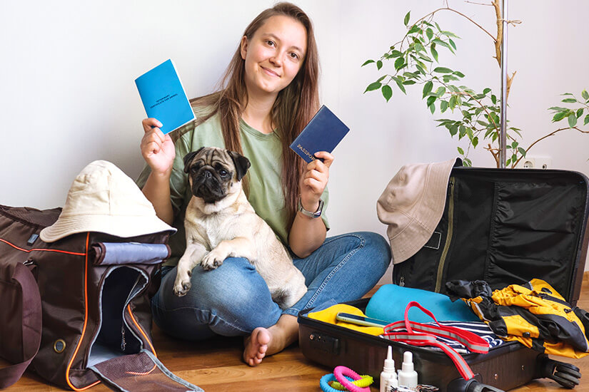 Fliegen mit Hund Papiere