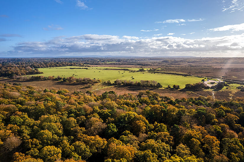 New Forest Nationalpark