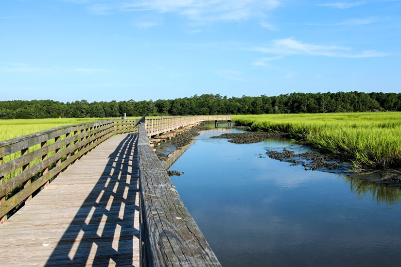 Huntington Beach State Park