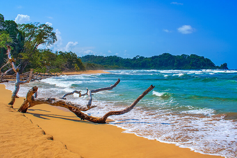 Bocas del Toro Wizard Beach