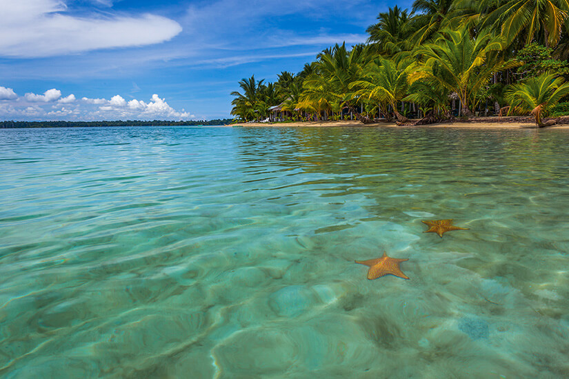 Bocas del Toro Starfish Beach