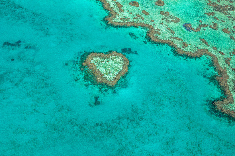 Heart Reef