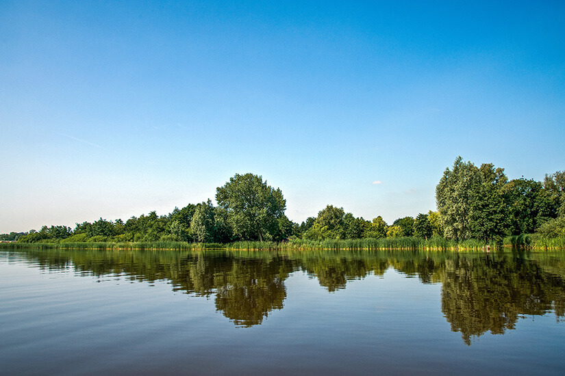 Bovenwijde