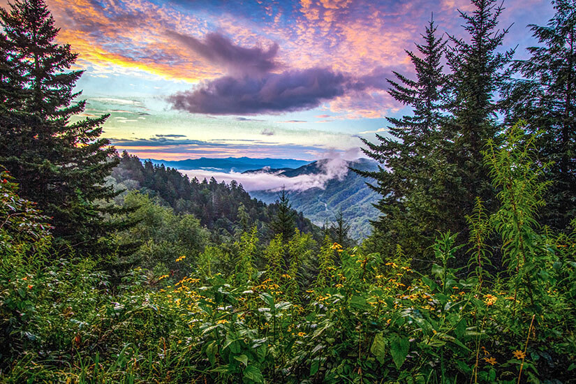 Great Smoky Mountains National Park