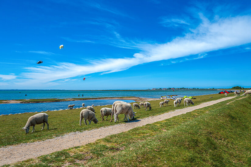 Deutsche Inseln Fehmarn